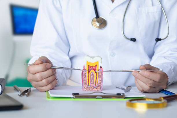 Best Knocked-Out Tooth (Avulsed Tooth) Treatment in Offutt Af, NE